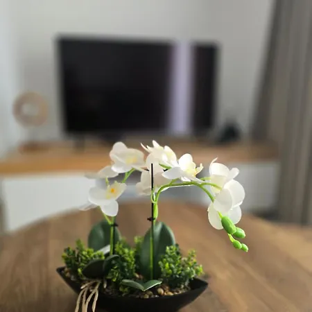 Apartment Lazuli Center Ap 12